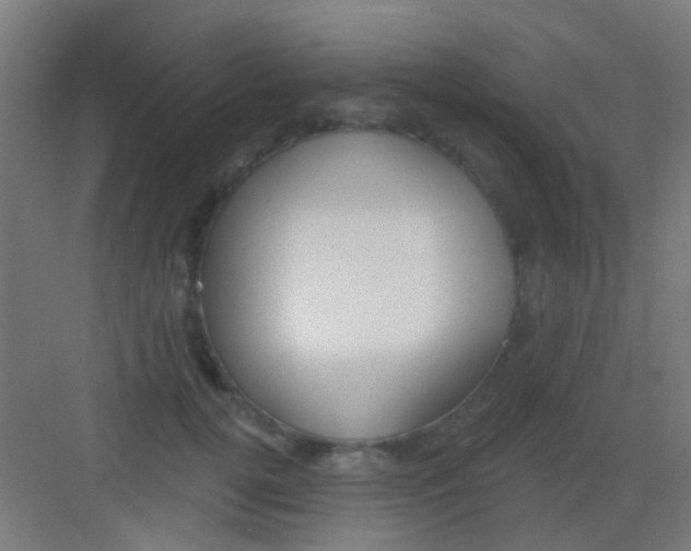 X0000081340752200702082228