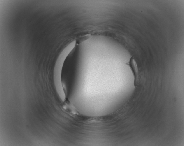X0000081340756200702082228