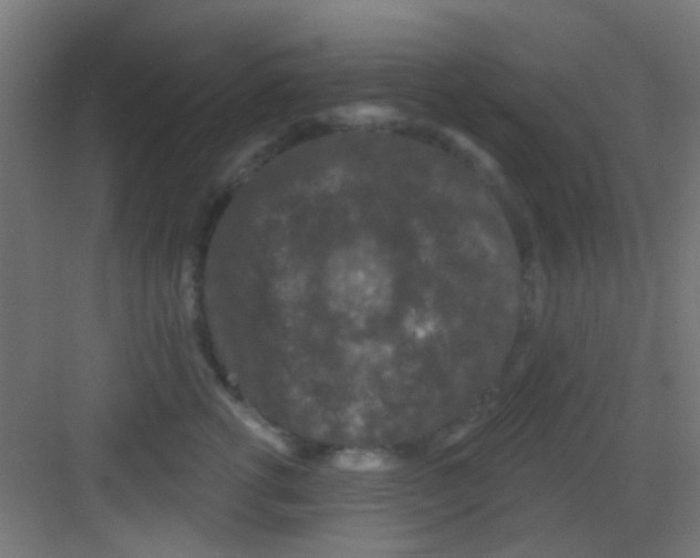 X0000081340762200702082228