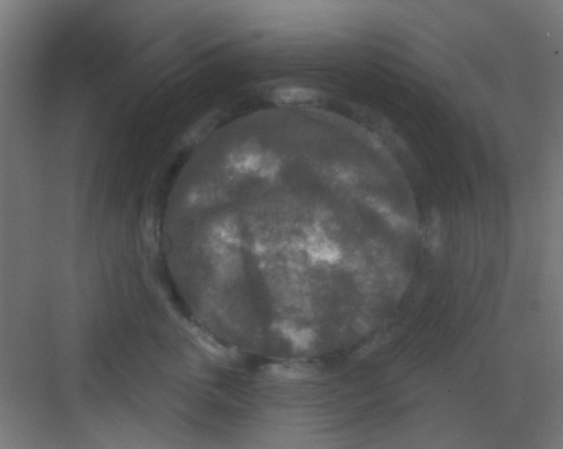 X0000081340763200702082228