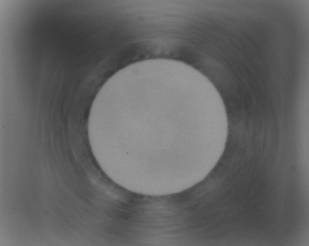 X0000081340769200702082228