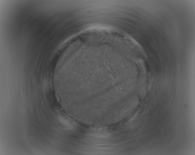 X0000081340775200702082228