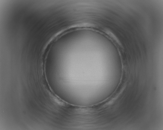 X0000081340781200702082227