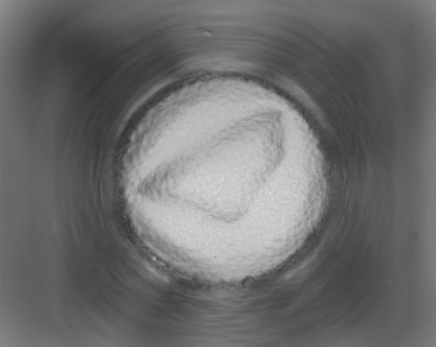 X0000081340782200702082227