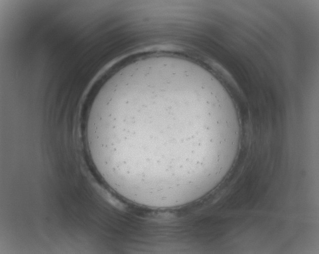 X0000081340784200702082227