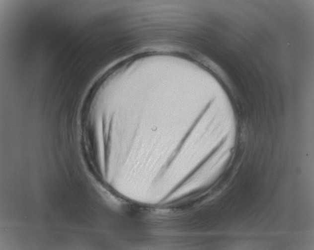 X0000081340787200702082227