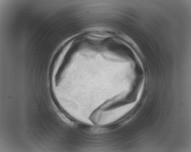 X0000081340795200702082227