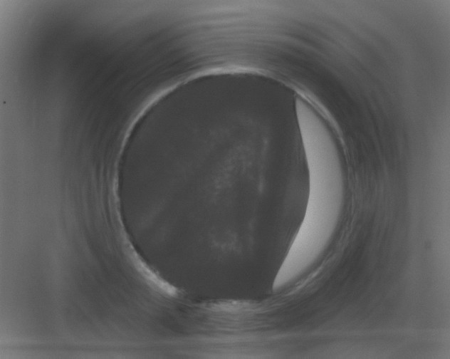 X0000081340797200702082227