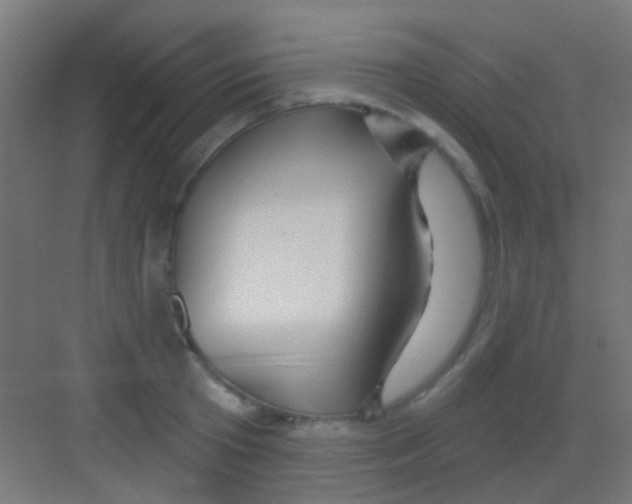 X0000081340801200702082227