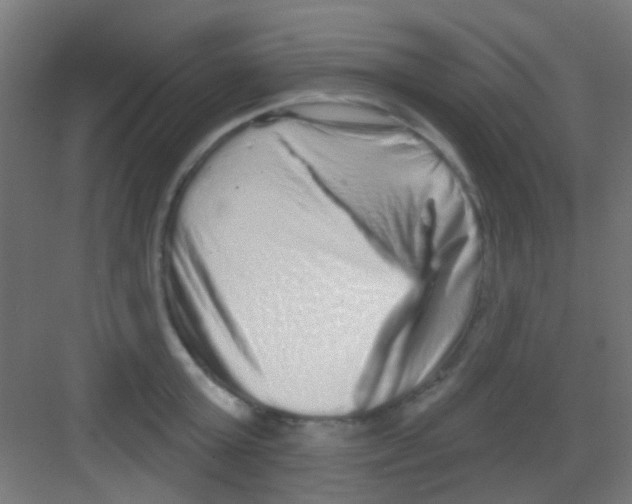 X0000081340803200702082227