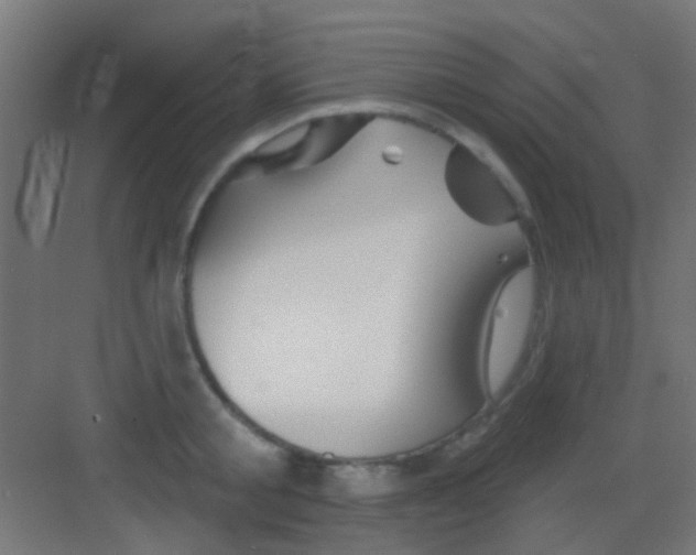 X0000081340805200702082227