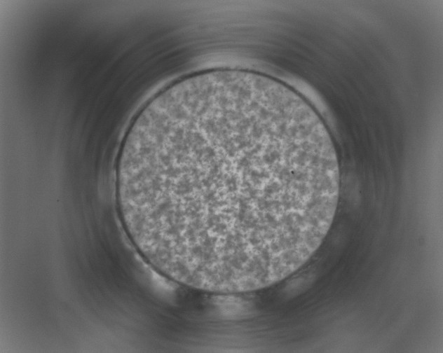 X0000081340807200702082227