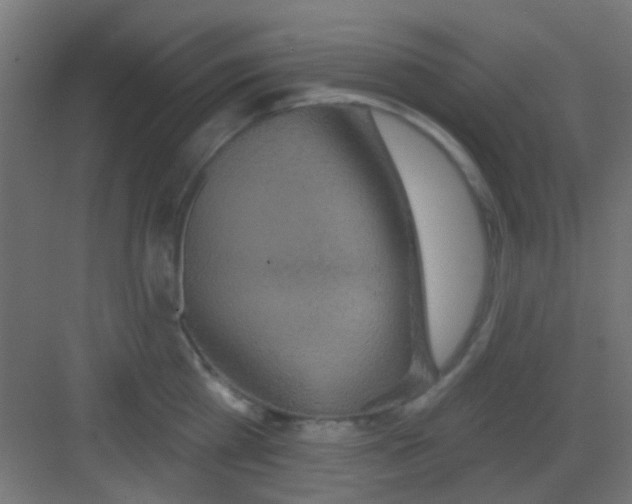 X0000081340809200702082227