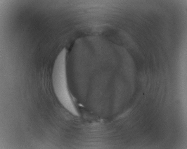 X0000081340818200702082226