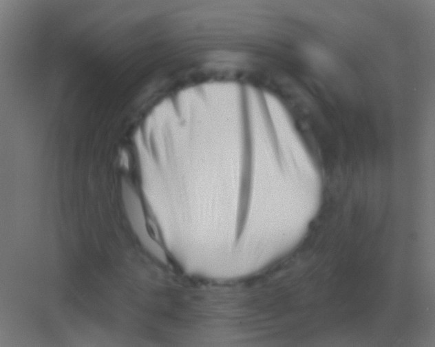 X0000081340821200702082226
