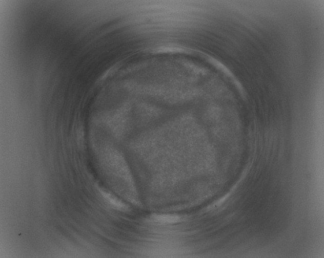X0000081340825200702082226