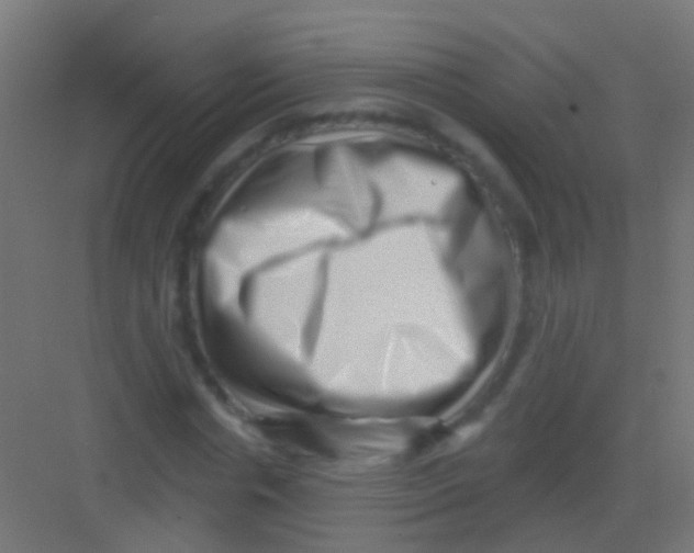 X0000081340826200702082226