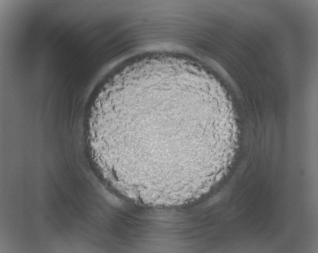 X0000081340831200702082226
