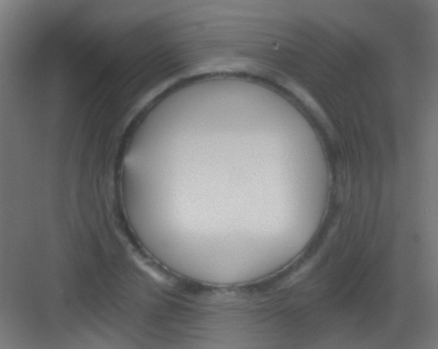 X0000081340834200702082226