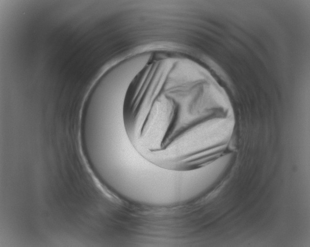 X0000081340845200702082227