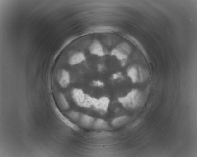 X0000081340851200702082227