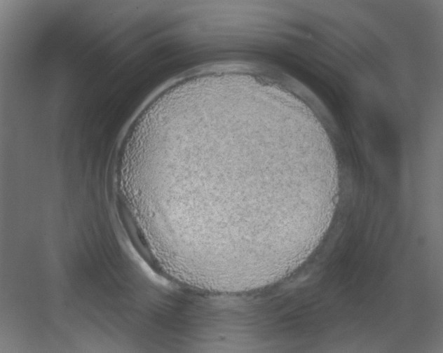 X0000081340852200702082227