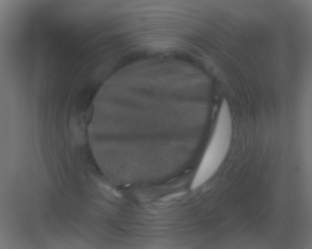 X0000081340868200702082226