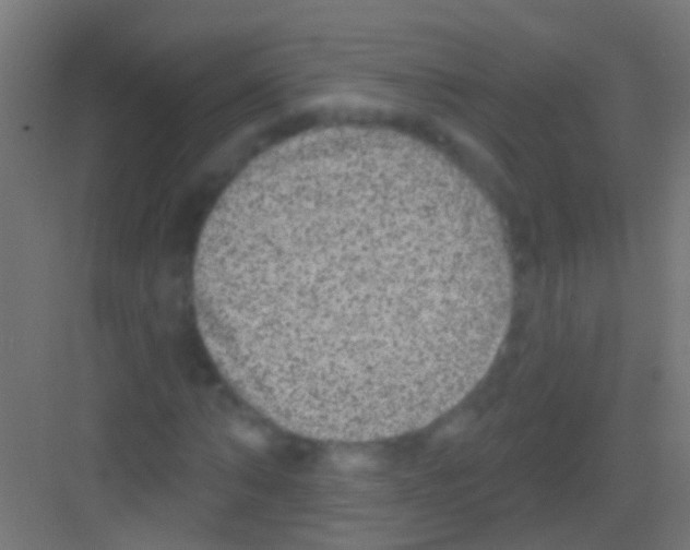 X0000081340870200702082226