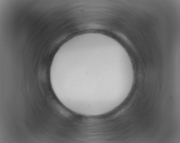 X0000081340873200702082226