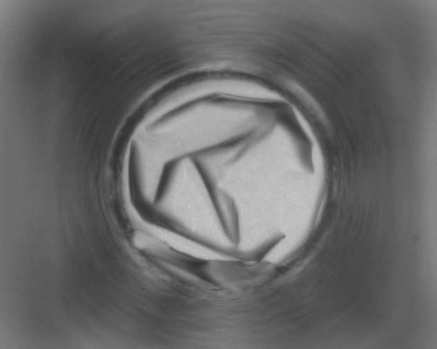 X0000081340876200702082226
