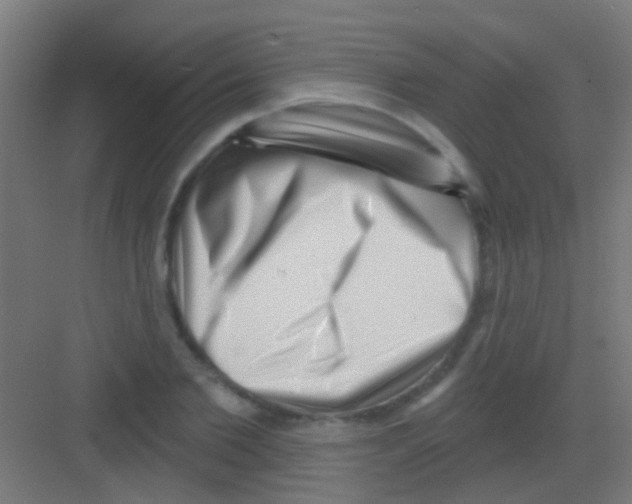 X0000081340885200702082226