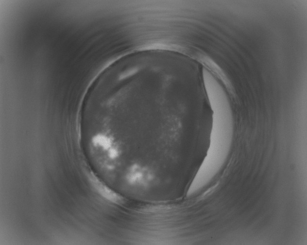 X0000081340892200702082226