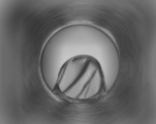 X0000081340895200702082226