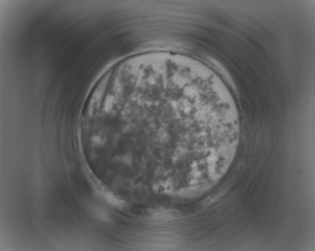 X0000081340899200702082225