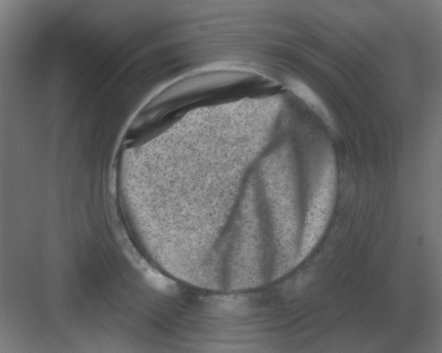 X0000081340900200702082225