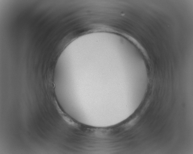X0000081340905200702082225