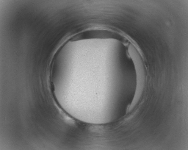 X0000081340909200702082225