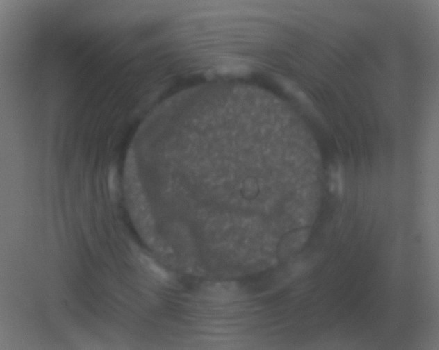 X0000081340915200702082224