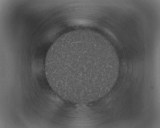 X0000081340918200702082225