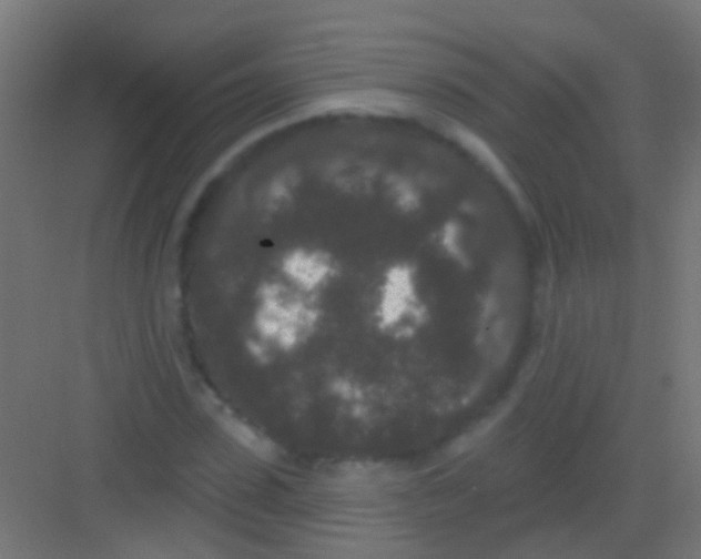 X0000081340923200702082225