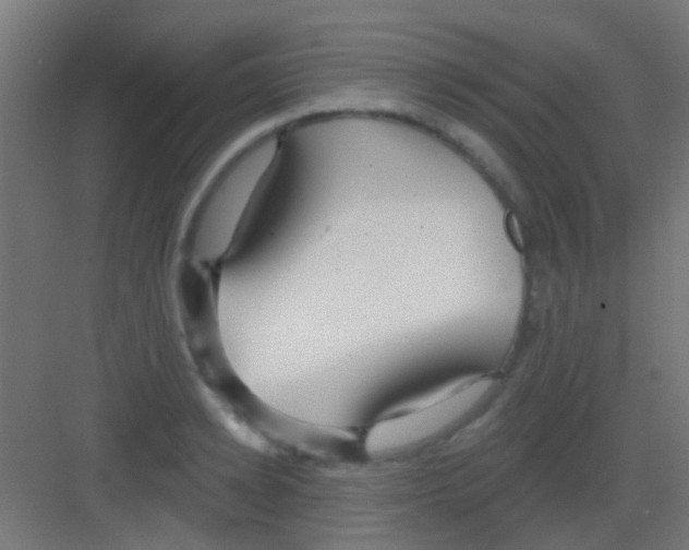 X0000081340942200702082225