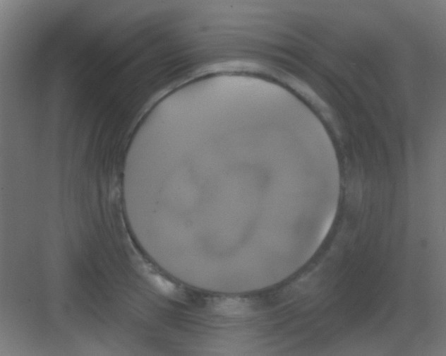 X0000081340945200702082225