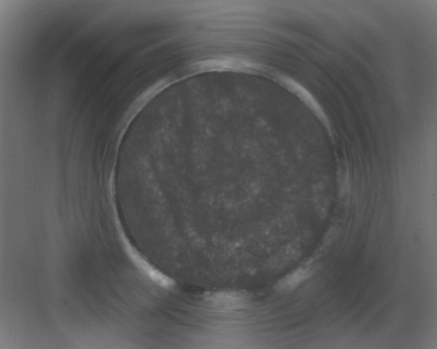X0000081340946200702082225