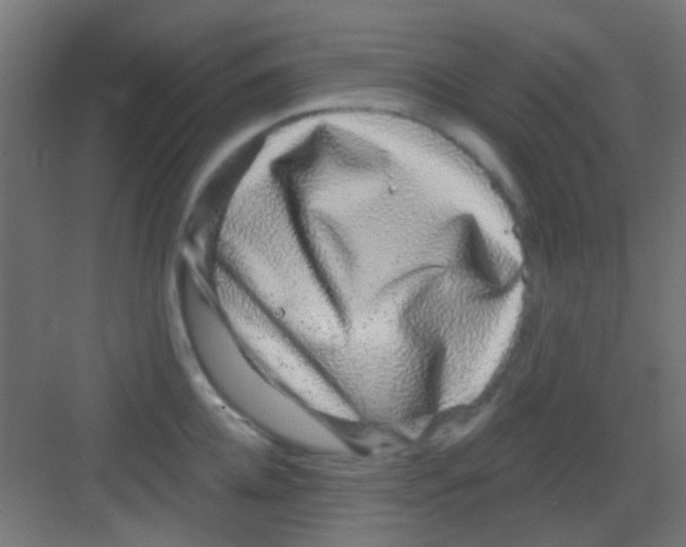 X0000081340952200702082225