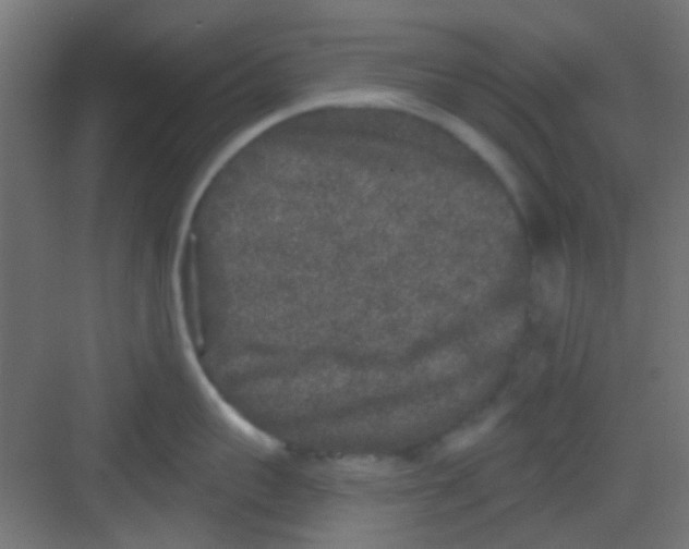 X0000081340959200702082225