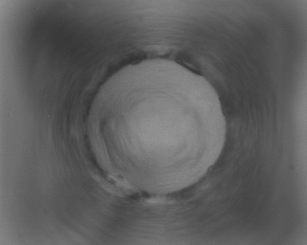 X0000081340961200702082224