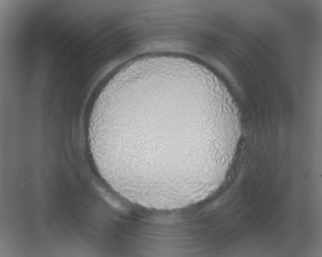 X0000081340982200702082224
