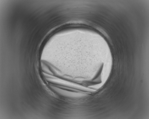X0000081340984200702082224