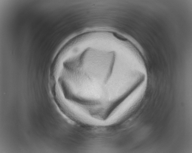 X0000081341006200702082224