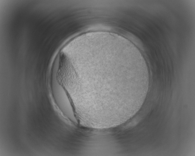 X0000081341008200702082224